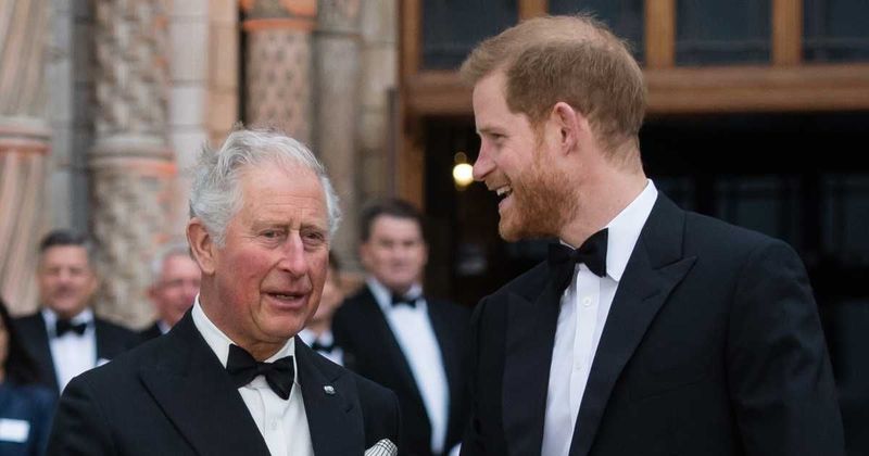 Reasons Behind Charles Finally Agreeing to Meet Harry for 50 Minutes — Despite Trust Issues