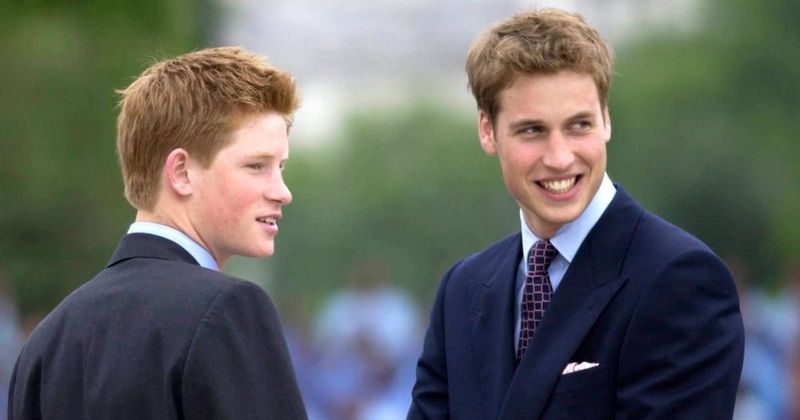 Prince Harry Mentions Estranged William in Court Statement: 'We Trusted Each Other'