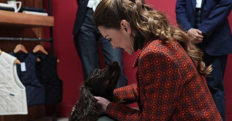 Body Language Expert Reveals The Signs Kate Middleton is Ready To Become The Queen