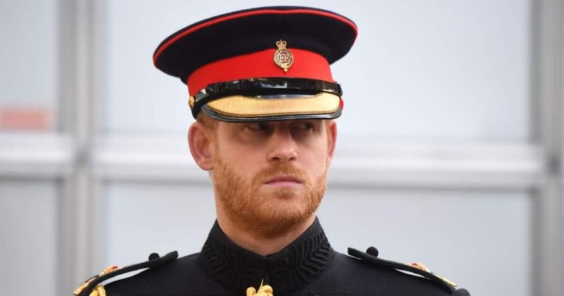 Prince Harry as King? New Poll Triggers Strong Backlash From Royal Fans