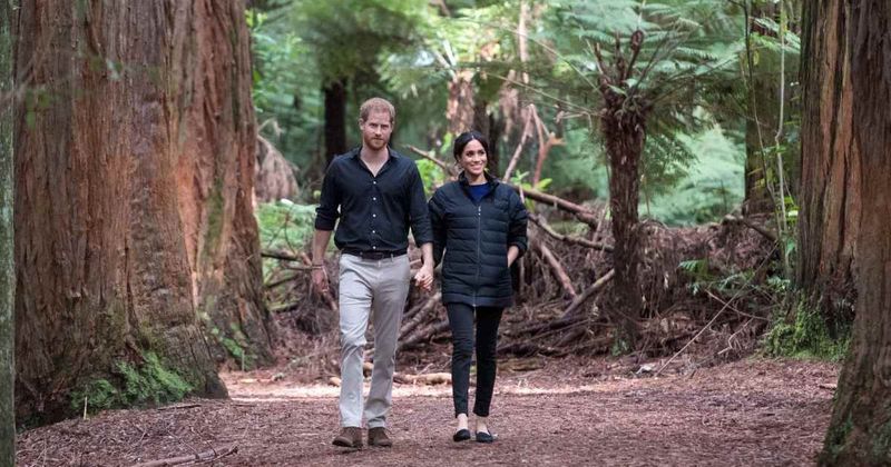 Harry and Meghan’s Upcoming Tour Will Have 'Cameras Documenting Everything': Expert