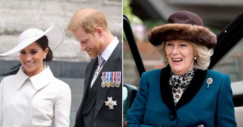 Expert Breaks Down Camilla’s ‘Brainwashing’ Comment About Prince Harry & Meghan Markle