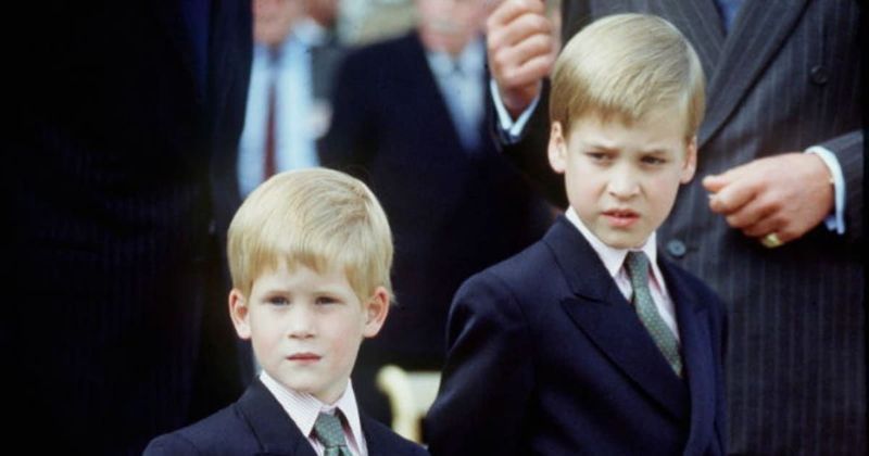 Author Reveals How William Shielded Harry During Charles & Diana’s Split—and the Rift Hits Harder Now