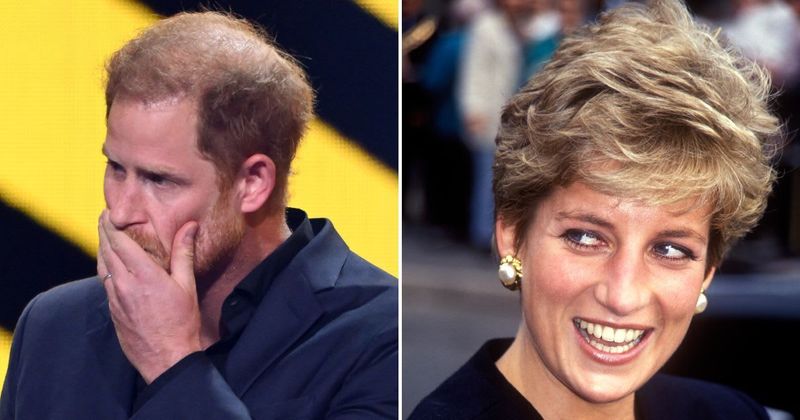 Prince Harry Sued By Charity He Set Up in Princess Diana's Honor
