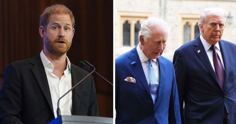 Prince Harry's Swipe At Donald Trump Could Make US Visit Awkward For King Charles