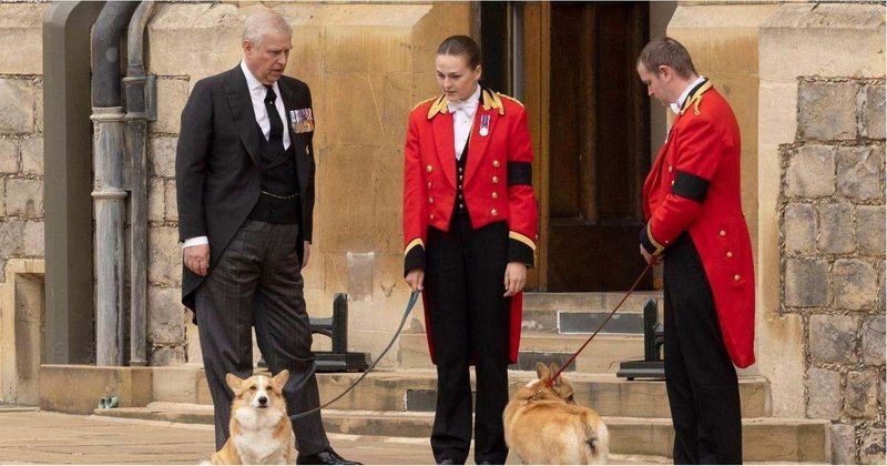 Andrew Accused of Cruelty Toward His Dog in New Royal Tell-All — and His Response Only Makes It Worse