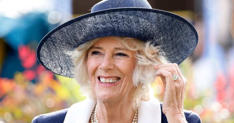 Queen Camilla's 'Ruthless Streak' Has Experts Drawing Comparisons To An Unlikely Royal