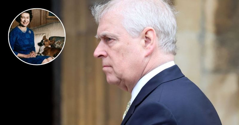 Andrew Ditches Teddy Bear Obsession for Bizarre Nightly 'Ritual' With Queen Elizabeth’s Corgis