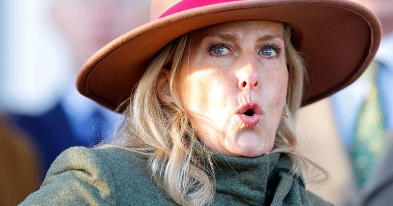 Two New Royals Are Taking Over Duchess Sophie's Role as the Firm's Secret Weapons: Expert