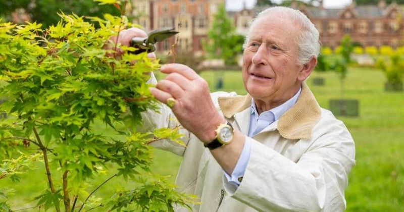 Palace Unveils Rare Footage of King Charles at 21 ― Speaking Out on an Issue Still Defining His Reign