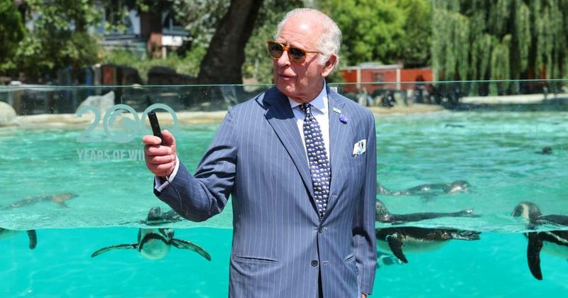 King Charles Slipped One Playful Detail Into His Zoo Outfit — and It Didn’t Go Unnoticed
