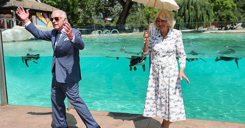 Charles and Camilla Went to Check on the Penguins — And Walked Into Another PR Disaster