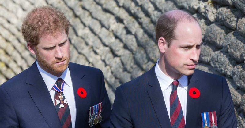 Harry Announces Podcast After William's Travis Kelce Hit — and One Detail Catches Everyone Off Guard