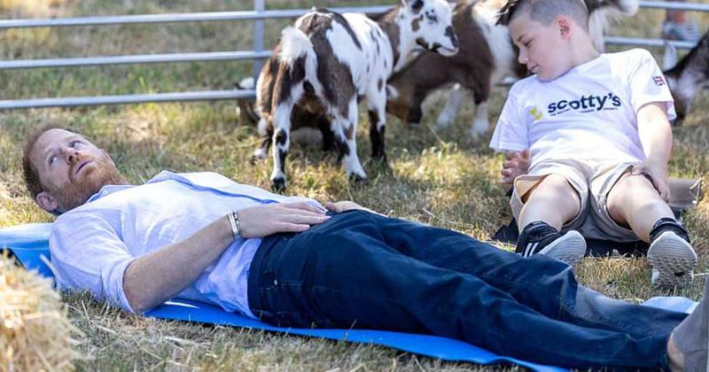 Prince Harry Laughs Off Hilarious "Crown Jewels" Mishap During Charity Goat Yoga—Watch