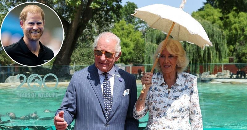 Why Queen Camilla ‘Dropped Everything’ to Support King Charles at His Secret Reunion With Harry