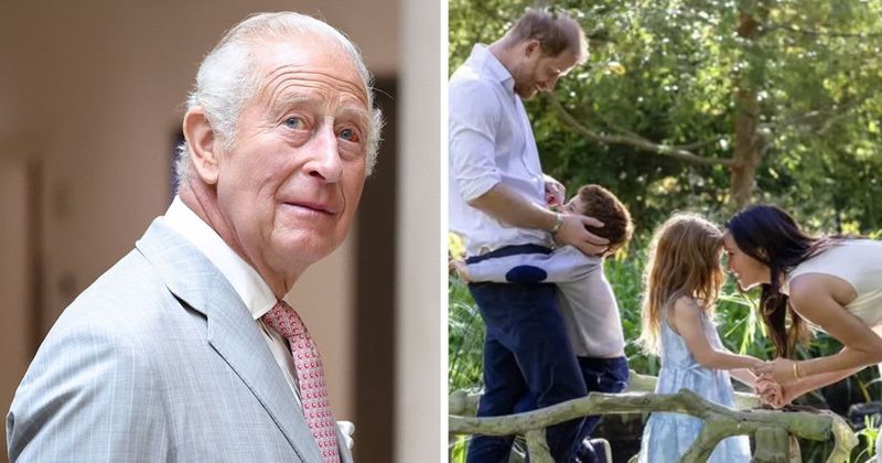 Harry and Meghan's Reunion With Charles Wasn't 'Warm and Fuzzy' — and One Detail May Explain Why