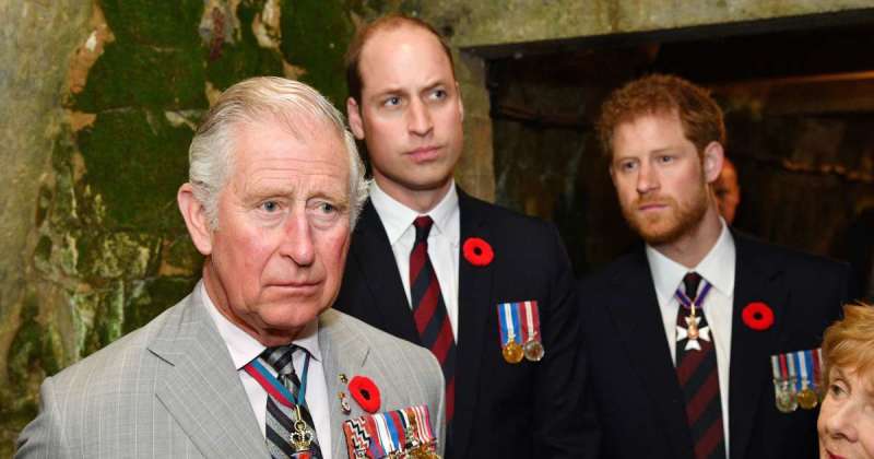 Why Prince William Still Backs King Charles' Olive Branch to Harry Despite Their Rift