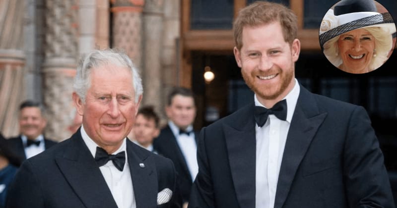 Why Palace Insiders Are Keeping a Close Watch on Harry's Next Move While Camilla Is Away