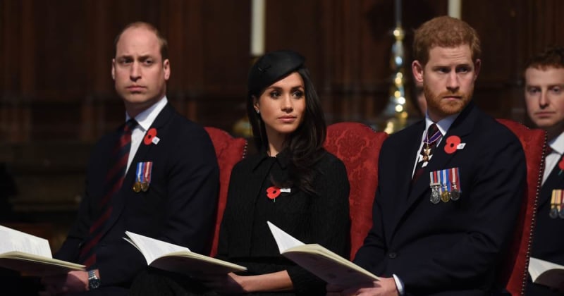 ‘Major Assets’ Harry and Meghan May Solve a ‘Future Problem’ That William May Not Have Anticipated