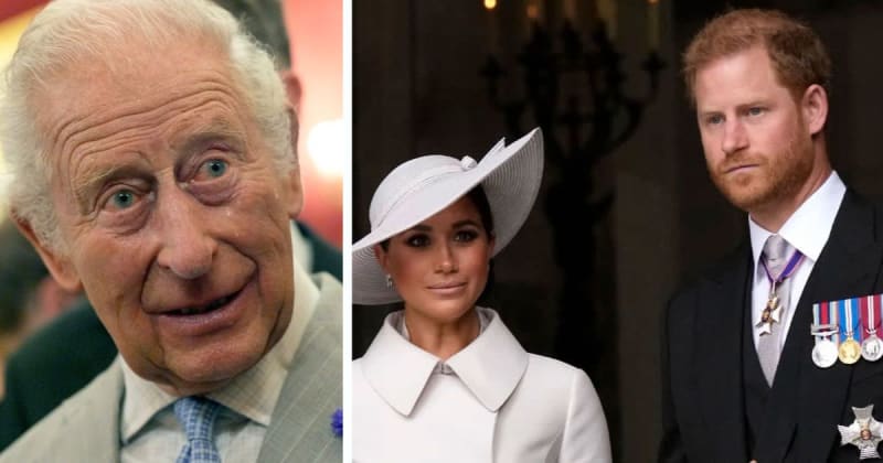 Sussex Inner Circle Reacts to King Charles's Directive on Harry and Meghan's Non-Working Status