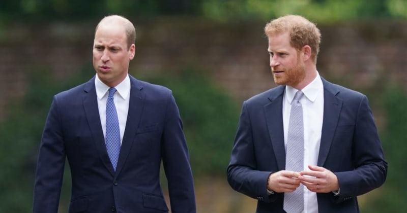 Why Prince Harry ‘Crossed the Line’ With Prince William, Royal Expert Weighs In