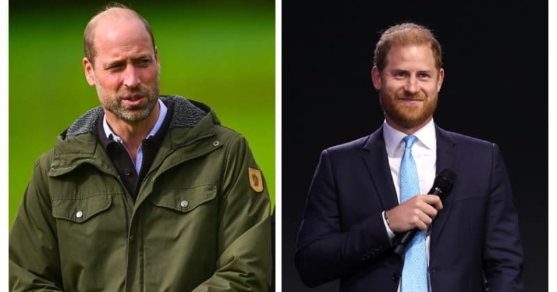 Diana Had Two Sons - Should William and Harry Have to Answer for Their Uncle’s Book?