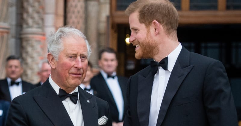 King Charles and Prince Harry May Finally Have Found Common Ground in a Core Issue