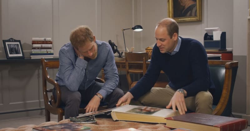 Prince William Said No to Another Diana Documentary - Is His Work the Tribute That Matters?